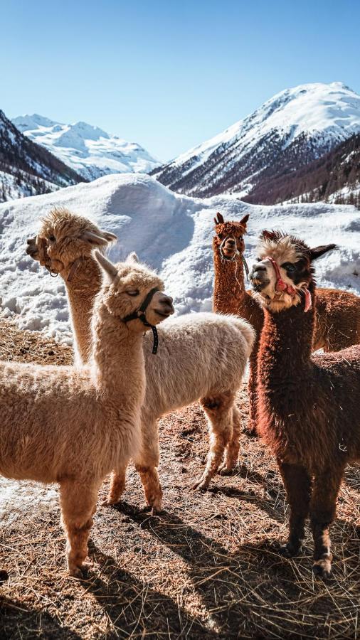 La Tresenda Hotel And Mountain Farm Ливиньо Экстерьер фото